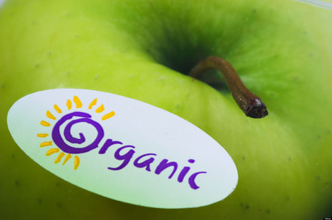 What Does This Label Really Mean, Anyway? | Grief & Bereavement Counseling | Scoop.it