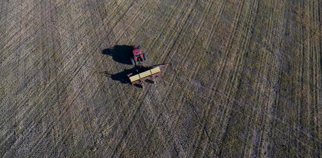 Comment l’Argentine s’est entièrement façonnée autour des OGM - The conversation | Pour innover en agriculture | Scoop.it