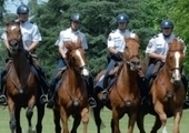 Les policiers équestres et leurs chevaux au salon du cheval ! | Salon du Cheval | Scoop.it