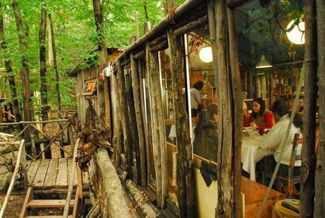 Un villaggio di case sugli alberi in Piemonte è in continua espansione | EcoTurismo e Mobilità Sostenibile | Scoop.it