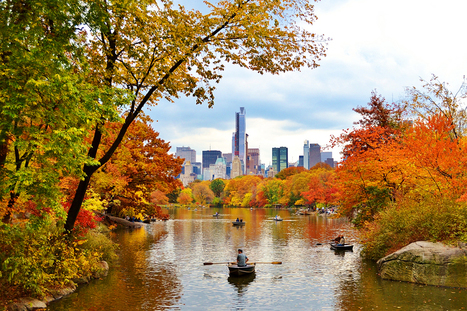 Mapping how 530 global cities use their water - Urbanful | Peer2Politics | Scoop.it