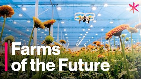 The Futuristic Farms that will feed the World | Internet of Things - Technology focus | Scoop.it