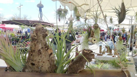 La 15e Foire au jardinage de Pavie c&eacute;l&egrave;brera l&rsquo;abeille et la biodiversit&eacute; dimanche 29 mars | Professionnels du tourisme du Grand Auch C&oelig;ur de Gascogne | Scoop.it