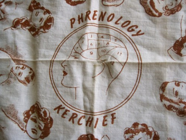 Vintage “Phrenology Kerchief” (Hint: The Bumps You’re Reading Aren’t On The Head) – Silent Porn Star | Kitsch | Scoop.it