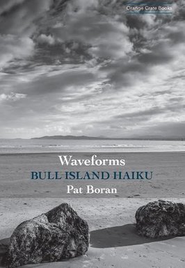 Pat Boran: Waveforms Bull Island Haiku | The Irish Literary Times | Scoop.it