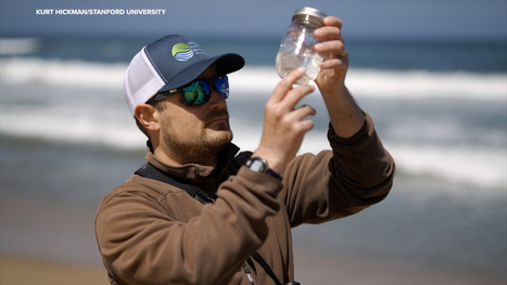 Ocean pollution research: Stanford teams at Hospkins Marine Station tracking the path of devastating microplastics | Industry 411 - Waste Management | Scoop.it