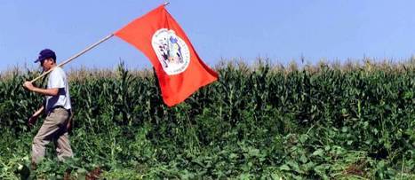 Monsanto confirme son droit à enfermer l'agriculture mondiale | Home | Scoop.it