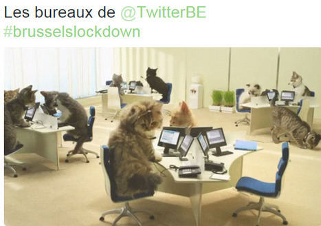 Autocensure des m&eacute;dias belges: pas de quoi fouetter un chat | DocPresse ESJ Lille | Scoop.it