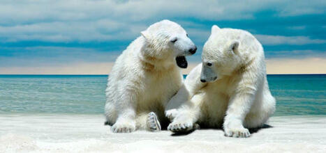 4 Tips to Help You Navigate Polarizing Conversations via CTRI | Education 2.0 & 3.0 | Scoop.it