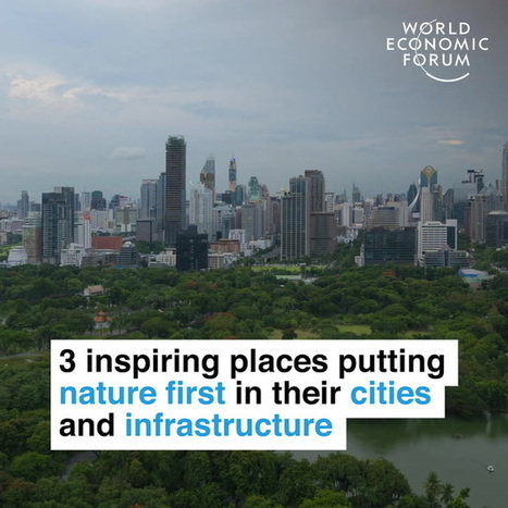 3 Inspiring Places Putting Nature First In Their Cities And Infrastructure | GTAV AC:G Y10 - Geographies of human wellbeing | Scoop.it