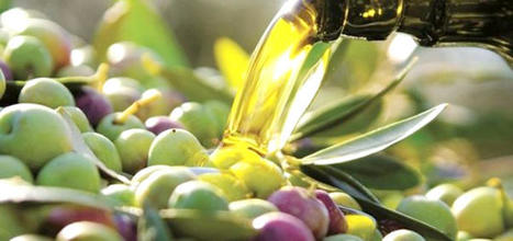 ALGÉRIE : Filière oléicole : Un groupement de producteurs d’huile d’olive dédié à l’export | CIHEAM Press Review | Scoop.it