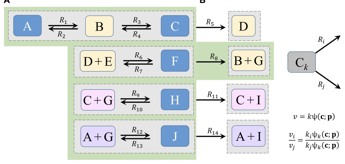Kinetic modules are sources of concentration ro...