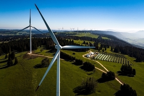 Les ornithologues hésitent sur l'impact des futures éoliennes mais «Le bon sens, c’est ne pas mettre des éoliennes sur des sites inappropriés» | Les oiseaux au gré du vent | Scoop.it