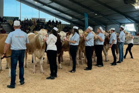 Rendez-vous. National Simmental au Sommet de l’élevage | Actualité Bétail | Scoop.it