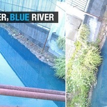 Pudong river turns bright blue due to industrial pollution | Stage 5  Changing Places | Scoop.it