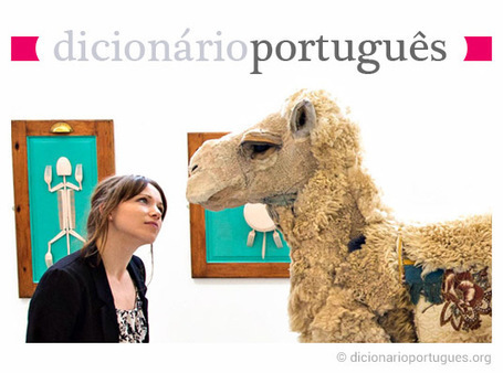 Acerca de dicion&aacute;rio portugu&ecirc;s | APOIO AO ESTUDO | Scoop.it