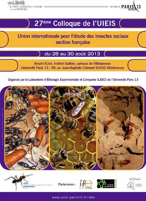 Éthologie des Insectes Sociaux : Colloque 2013 | Variétés entomologiques | Scoop.it