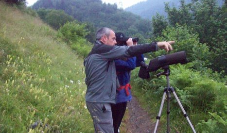 RNR d'Aulon : les isards suivis de pr&egrave;s&nbsp; | Vall&eacute;es d'Aure & Louron - Pyr&eacute;n&eacute;es | Scoop.it