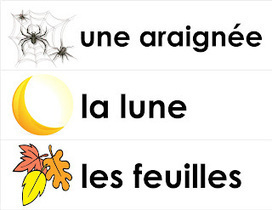 Madame Belle Feuille: L'halloween, la nuit, les formes | teacher tools for this century | Scoop.it