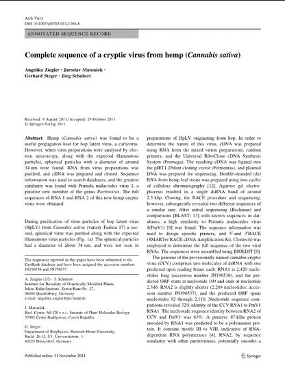 Complete sequence of a cryptic virus from hemp (Cannabis sativa) | Virology News | Scoop.it