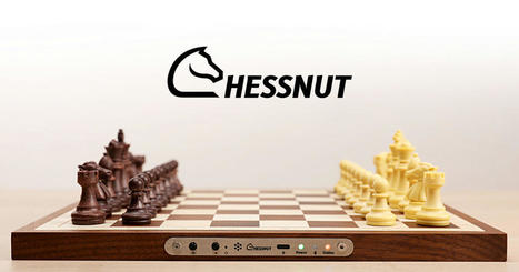 Chess Accessories - Find the Perfect Additions for Your Game | Chessnut Tech | chessnutech | Scoop.it