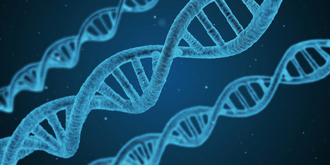 Close-Up View of DNA Replication Yields Surprises | Genetics - GEG Tech top picks | Scoop.it