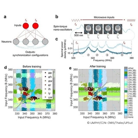 Des nano-oscillateurs coupl&eacute;s capables de reconna&icirc;tre des voyelles selon une r&egrave;gle d&rsquo;apprentissage | Life Sciences Universit&eacute; Paris-Saclay | Scoop.it