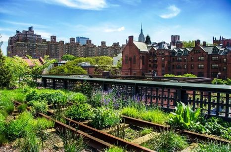 [Formation] L'agriculture urbaine : une solution pour un projet d'aménagement résilient et inclusif ? | idealCO | ESPACES VEGETALISES URBAINS | Scoop.it
