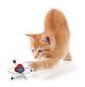 Schrödinger's Cat Has a Light Touch: Quantum Physics Used to ... - Science Daily (press release) | Ciencia-Física | Scoop.it