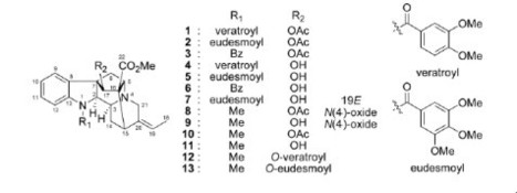 Alstiphyllanines I &ndash; O, Ajmaline Type Alkaloids from Alstonia macrophylla showing Vasorelaxant Activity | Natural Products Chemistry Breaking News | Scoop.it