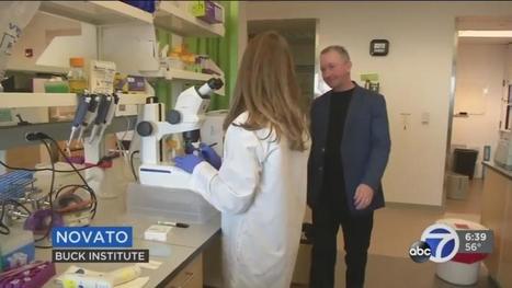 Study: Vitamin D Is More Effective Than Flu Vaccine | Health Supreme | Scoop.it