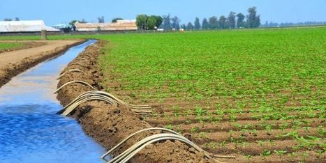 Maroc : L'irrigation améliore la gestion de l'eau face à la sécheresse | CIHEAM Press Review | Scoop.it