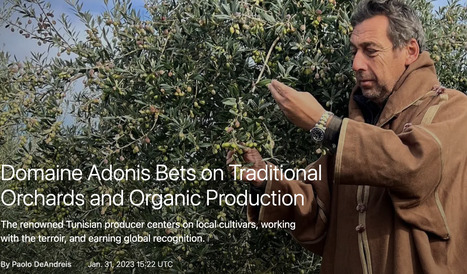 TUNISIA: Domaine Adonis Bets on Traditional Orchards and Organic Production | CIHEAM Press Review | Scoop.it