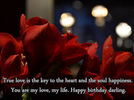 Special Happy Birthday Messages In Hindi For Bo