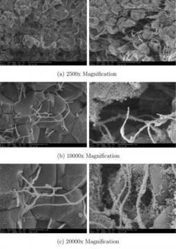 Clot-dissolving bubbles to treat strokes? | 21st Century Innovative Technologies and Developments as also discoveries, curiosity ( insolite)... | Scoop.it