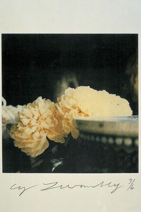 Le temps retrouvé de Cy Twombly | Livres photo | Scoop.it