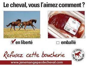 Le cheval, vous l&rsquo;aimez comment? | French Authentic Texts | Scoop.it