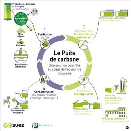 Le Monde : "Pollution de l’air, Paris va tester une colonne Morris dépolluante | Ce monde à inventer ! | Scoop.it