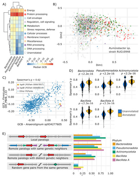 Widespread synchronization of codon usage in functionally related genes | brvm | RMH | Scoop.it