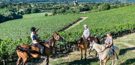 D’Artagnan, la nueva ruta ecuestre europea | Professionnels du tourisme du Grand Auch Cœur de Gascogne | Scoop.it