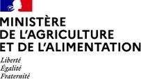 Jardins partagés et agriculture urbaine - 30 M€ | Ministère de l'Agriculture et de l'Alimentation | ESPACES VEGETALISES URBAINS | Scoop.it