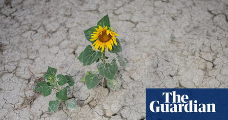 EU: Climate crisis-driven heat &lsquo;sucking soils dry&rsquo; as extreme drought hits&nbsp; | EUROPES | Scoop.it
