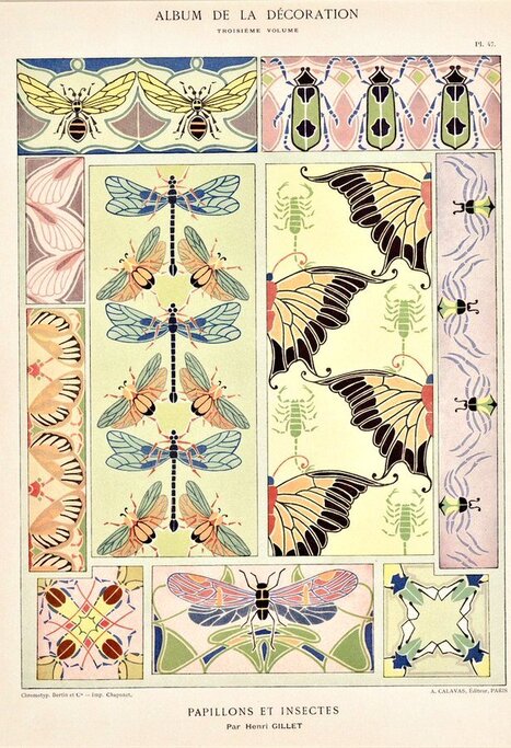 Les collections du Musée national de l'Éducation consultables en ligne  | Insect Archive | Scoop.it