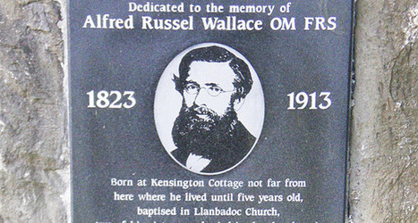 Il y a cent ans s&rsquo;&eacute;teignait Alfred Wallace | EntomoScience | Scoop.it