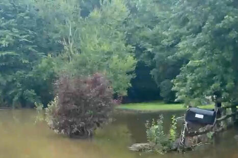 Campers stuck in trees as flash flooding tears through Missouri - The Independent | Operation Deimos | Scoop.it