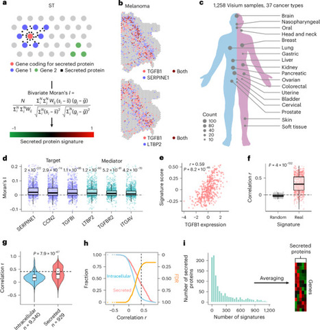 Inference of secreted protein signaling activities in intercellular communication | Nmet | RMH | Scoop.it