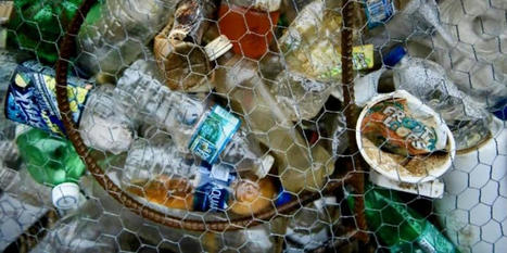 Plastic recycling remains a 'myth': Greenpeace study - RawStory.com | Agents of Behemoth | Scoop.it