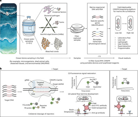A field‑deployable CRISPR-based biosensing platform for monitoring marine ecosystems | Nsus | RMH | Scoop.it