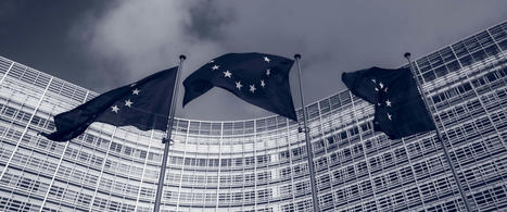 EU’s CSRD (June 2023 Proposed Updates): Implications for US Businesses | [Wudo] Corporate Transformation | Scoop.it