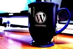 Consejos para mejorar la velocidad y seguridad de WordPress | La R-Evolución de ARMAK | Scoop.it